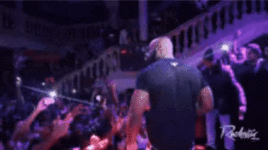 Dupont gif.gif